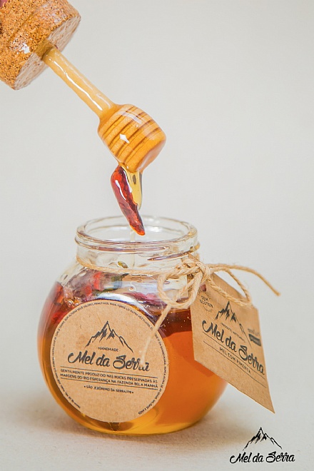 Pote de 230g com pega-mel de mel gourmet