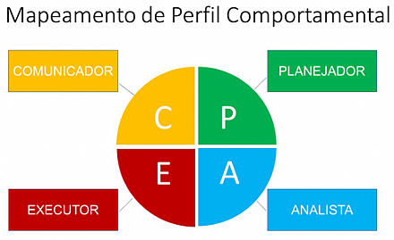 Mapeamento de Perfil Comportamental - Relatório